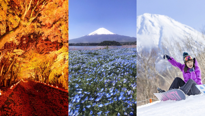 富士山對於不少去東京旅遊的遊客來説是必去的景點，能完美將富士山收入眼簾而又交通方便的地方，就一定是富士山河口湖。無論春夏秋冬，河口湖都有各式各樣的超美景點，花海、逆富士秘景、楓葉祭等絕對不能錯過。小編